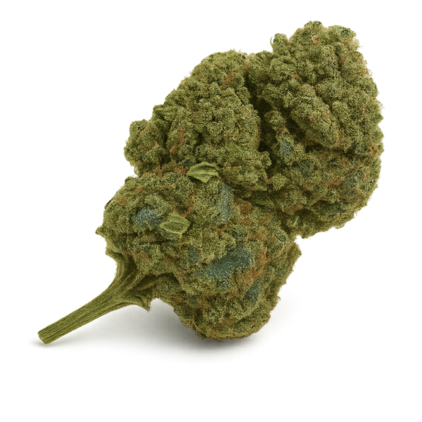 CBD Cannatonics