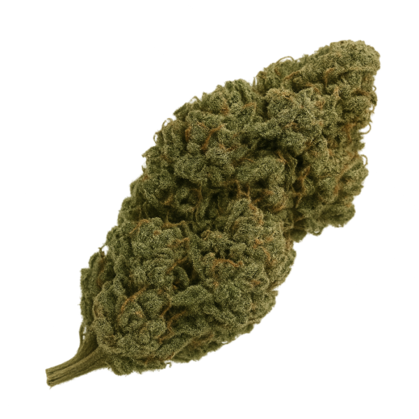 CBD Lemon Haze (Greenhouse)