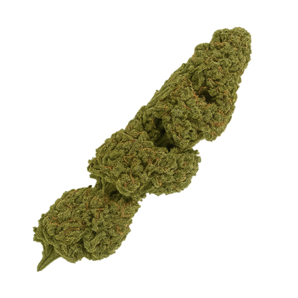 CBD Maradona