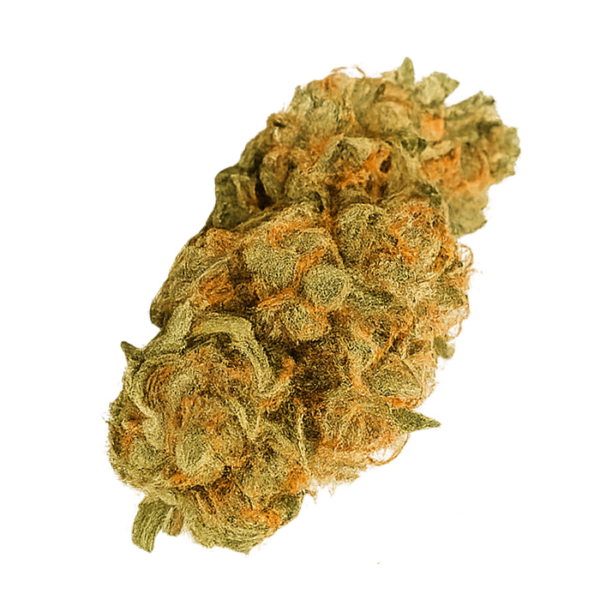 Animal Flower (Indoor)